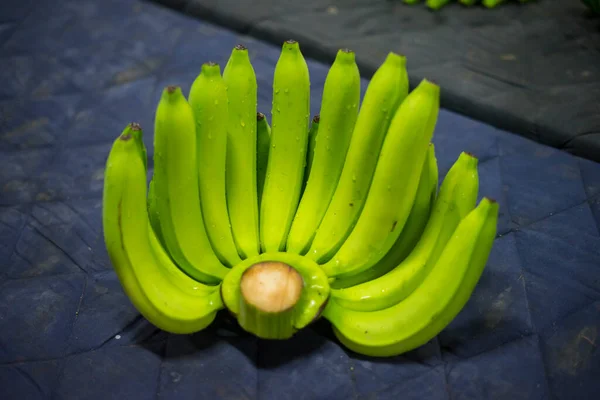 Bunches of fresh green thailand banana