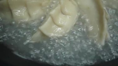 Soya soslu kızarmış Japon Gyoza köftesi.