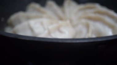 Soya soslu kızarmış Japon Gyoza köftesi.