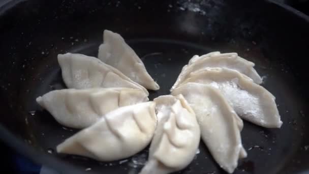 Κοντινό Πλάνο Από Τηγανητά Γιαπωνέζικα Ζυμαρικά Γκιόζα Σάλτσα Σόγιας — Αρχείο Βίντεο