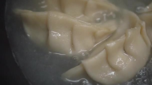 Κοντινό Πλάνο Από Τηγανητά Γιαπωνέζικα Ζυμαρικά Γκιόζα Σάλτσα Σόγιας — Αρχείο Βίντεο