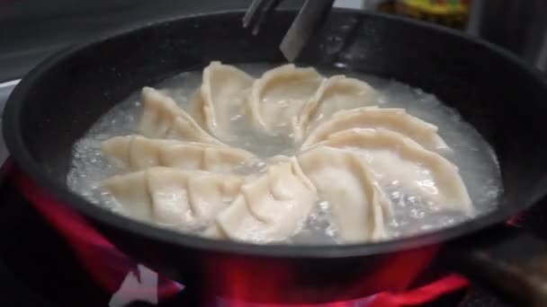 Detailní Záběr Smažené Japonské Gyoza Knedlíky Sójovou Omáčkou — Stock video