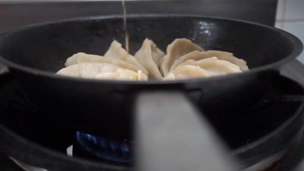 Närbild Friterade Japanska Gyoza Dumplings Med Sojasås — Stockvideo