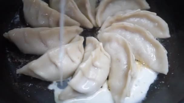 Zbliżenie Smażonych Japońskich Pierogów Gyoza Sosem Sojowym — Wideo stockowe