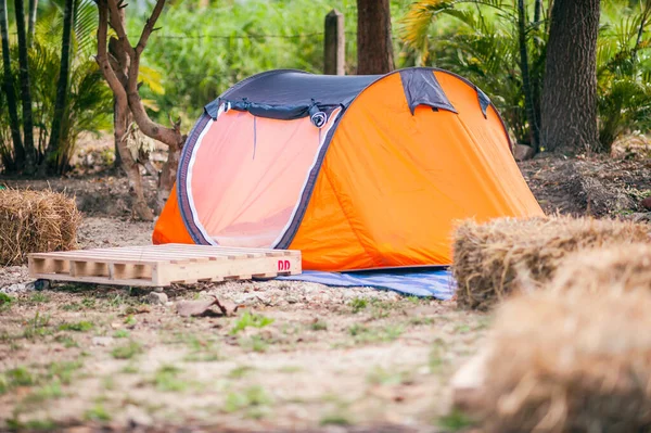 military tent in the open meadow. Against the background of trees