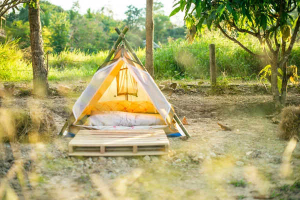 Tenda Militer Padang Rumput Terbuka Terhadap Latar Belakang Pohon Stok Lukisan  