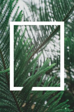 Yaratıcı düzen kağıttan notlarla yeşil yapraklar yaptı. Doğa konsepti