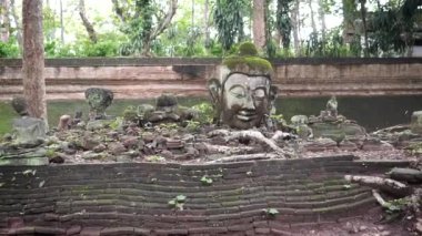 Wat Chiang Mai tapınağındaki Buda heykelleri.