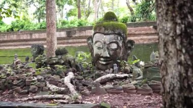 Wat Chiang Mai tapınağındaki Buda heykelleri.