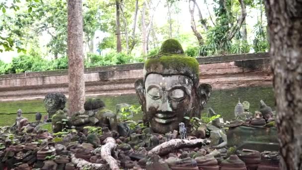 Статуї Будди Храмі Ват Чанг Май — стокове відео