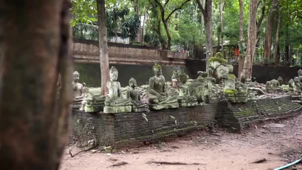 Buddha Statuen Tempel Des Wat Chiang Mai — Stockvideo