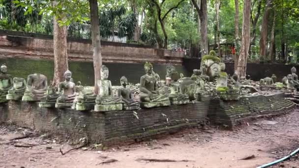 Buddha Statyer Vid Templet Wat Chiang Mai — Stockvideo