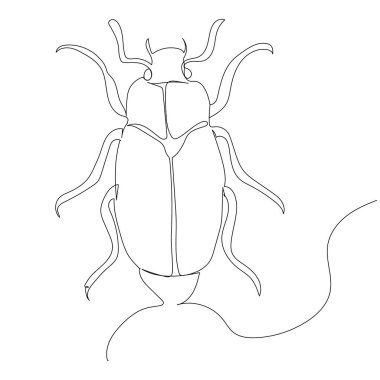 Böcek çizimi sürekli bir çizgi çizimi, izole edilmiş, vektör