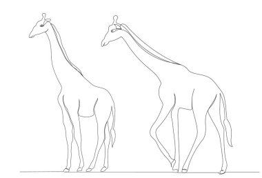 Zürafa sürekli çizim yapıyor, izole edilmiş, vektör.