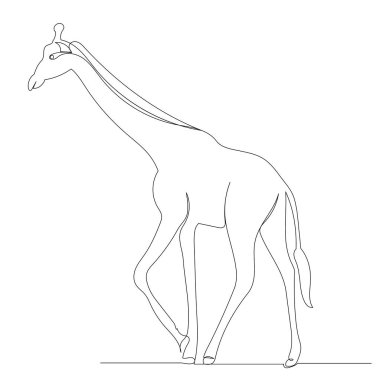 Zürafa sürekli çizim yapıyor, izole edilmiş, vektör.