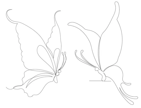 Малюнок Метелика Один Ескіз Безперервної Лінії Ізольований — стоковий вектор