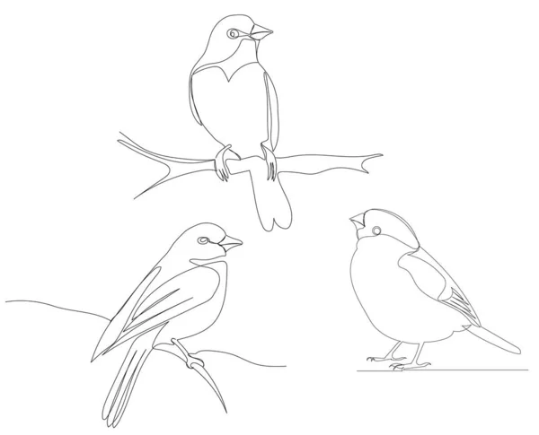 Oiseau Sur Dessin Branche Par Croquis Linéaire Continu — Image vectorielle