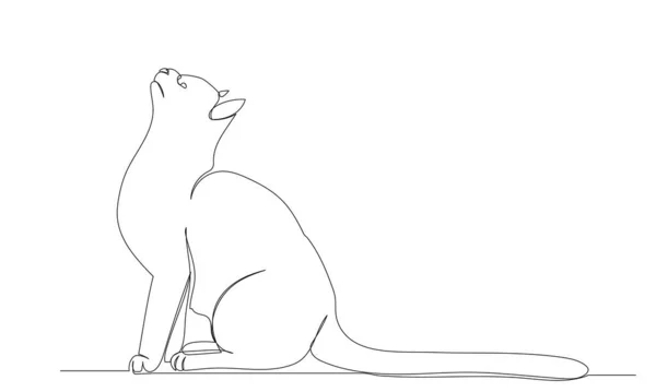 由一个连续的线条草图绘制的猫图 孤立的 矢量的 — 图库矢量图片