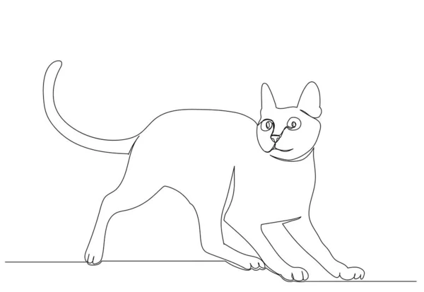 Desenho Gato Por Esboço Linha Contínua —  Vetores de Stock