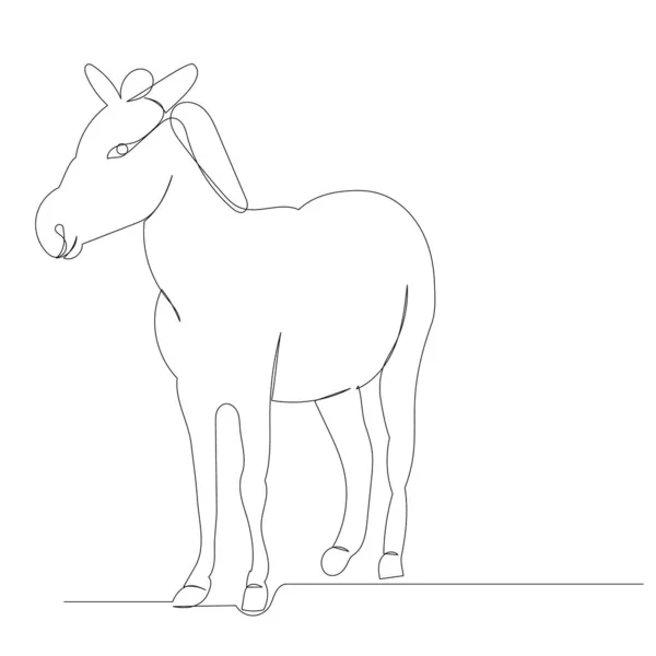 用一个连续直线草图绘制驴图 孤立的 矢量的 — 图库矢量图片