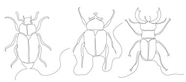 Böcek bir çizgi çiziyor, izole edilmiş.