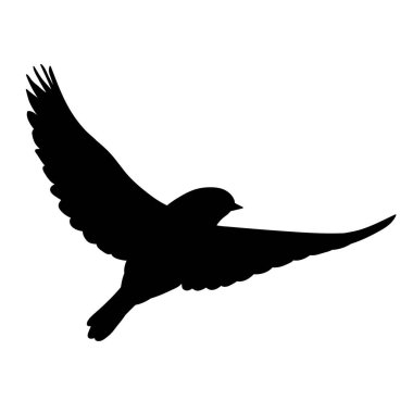 Uçan bir kuşun siyah silueti