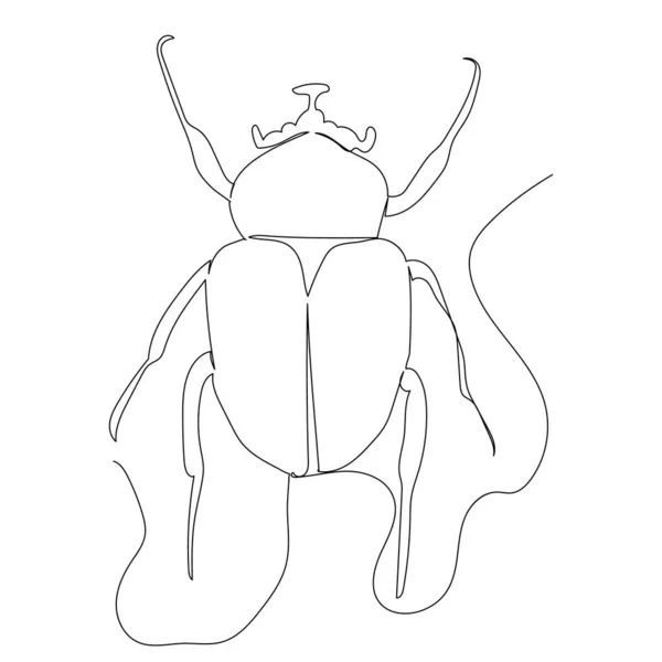 Coléoptère Croquis Une Ligne Isolé Vecteur — Image vectorielle