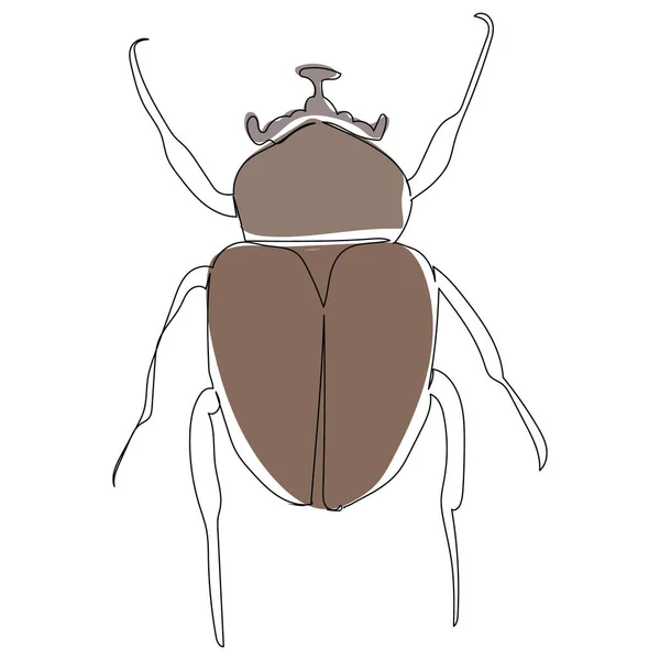 Brown Beetle One Line Drawing Sketch — Stock Vector