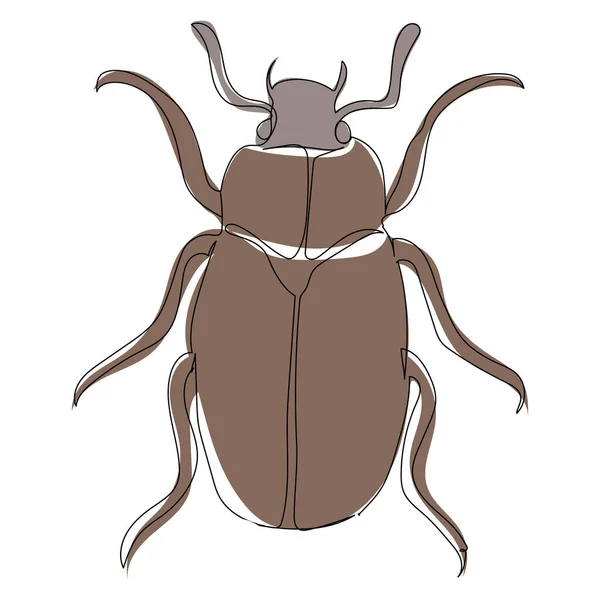 Brown Beetle One Line Drawing Sketch Isolated — Stock Vector