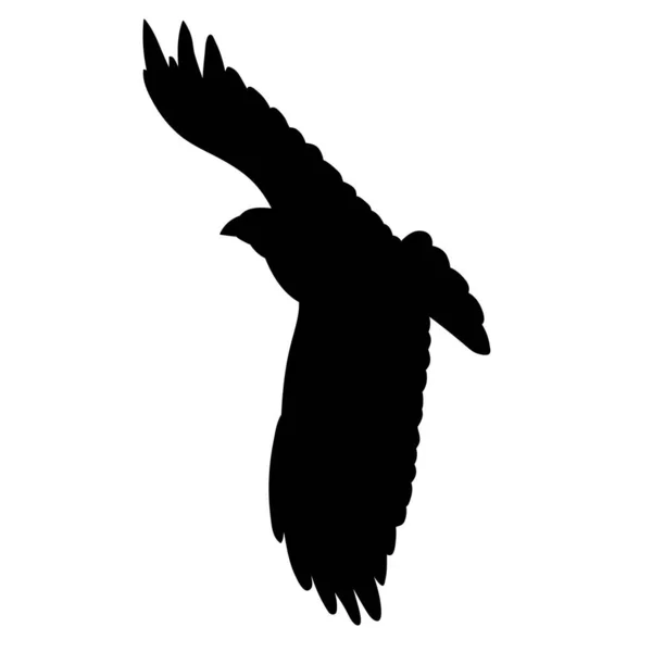 Vector Geïsoleerd Silhouet Vogel Vliegen — Stockvector