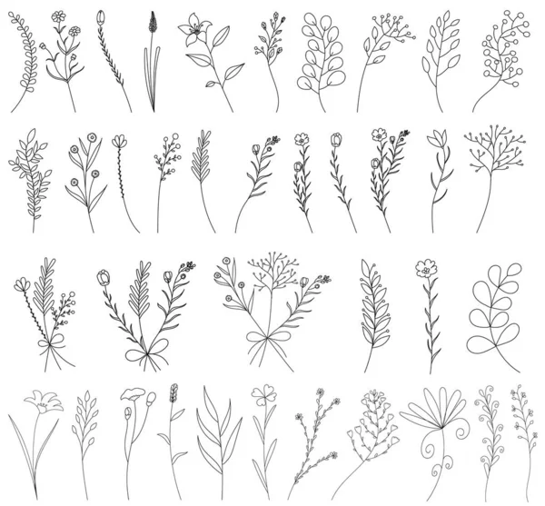 Vector Isolated Hand Drawn Sketch Grass Plants Flowers Set Collection — Stock Vector