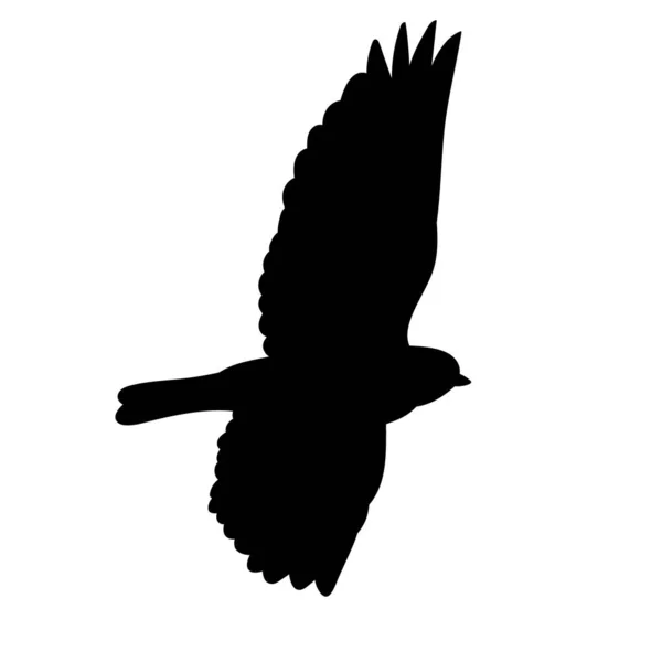 Vecteur Isolé Silhouette Noire Oiseau Volant — Image vectorielle