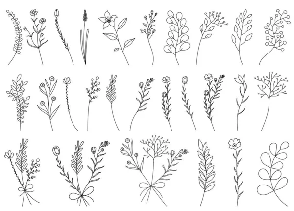 Vector Isolated Hand Drawn Plants Sketch Set Collection — Stock Vector