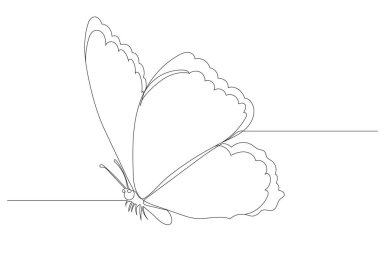 Kelebek uçar. Sürekli çizim, çizim, vektör, izole edilmiş bir çizgi.