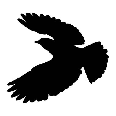 Uçan bir kuşun siyah silueti