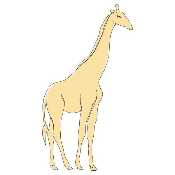 Dessin Ligne Girafe Jaune Image Isolé — Image vectorielle