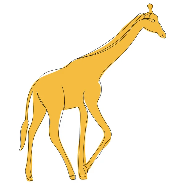 Girafa Amarela Linha Desenho Quadro Isolado Vetor — Vetor de Stock