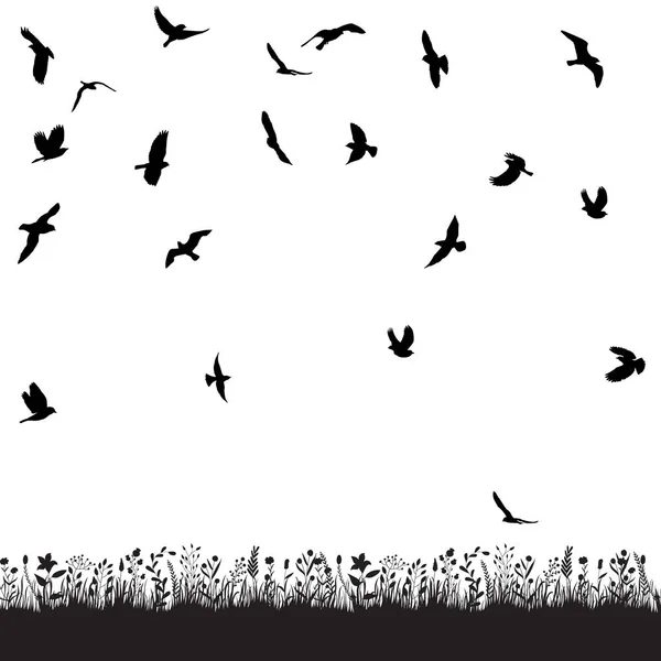 隔離された鳥は黒いシルエットの群れを — ストックベクタ