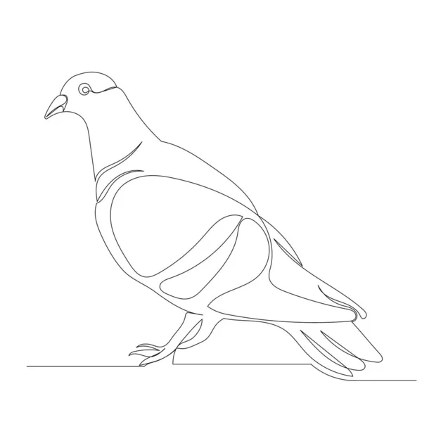 Pigeon Dessin Une Ligne Continue Isolée Vecteur — Image vectorielle