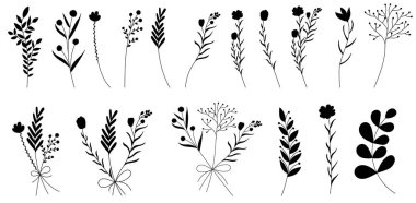 vektör, izole, siyah bitki çizimi, ot, çiçekler, set
