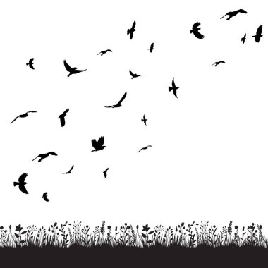 Tek başına uçan kuş sürüsü