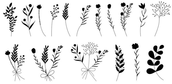 vector, isolated, black plant sketch, grass, flowers, set