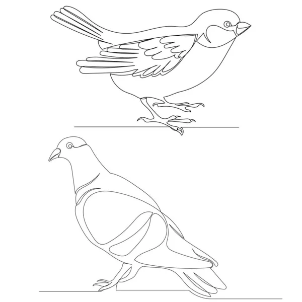 Σχέδιο Πτηνών Μία Συνεχή Απομονωμένη Γραμμή Διάνυσμα — Διανυσματικό Αρχείο