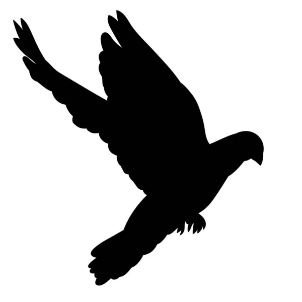 Oiseau Volant Silhouette Noire Colombe — Image vectorielle