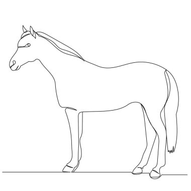 At çizimi sürekli bir çizgi ile izole, vektör