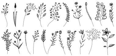  bitki eskizi, çimen, çiçekler, set
