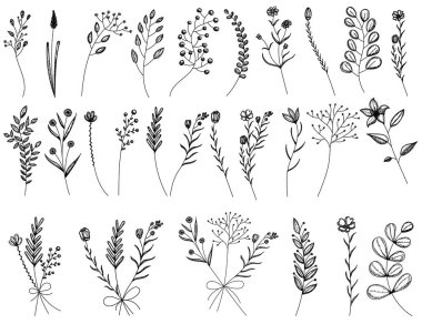 vektör, izole edilmiş, bir bitkinin çizimi, çimen, buketteki çiçekler, set
