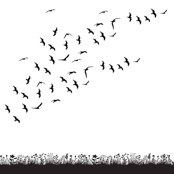 Διάνυσμα Απομονωμένο Μαύρη Σιλουέτα Ιπτάμενο Σμήνος Πτηνών — Διανυσματικό Αρχείο