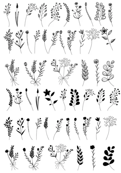 Sketch Plant Grass Flowers Bouquet Set — Stock Vector