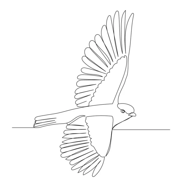 Aislado Dibujo Una Línea Pájaro Boceto — Vector de stock